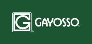 logo gayosso