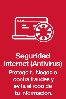 Seguridad Internet (Antivirus)