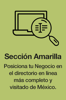 Sección Amarilla