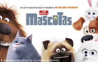 La vida secreta de las mascotas en Claro video con Telmex