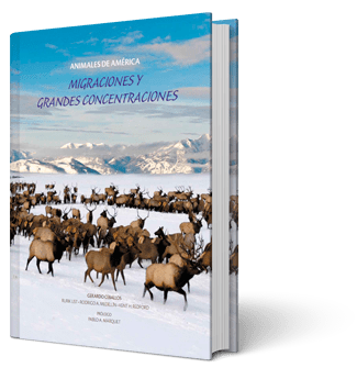 Libro tomo 6. Animales de América. Migraciones y Grandes Concentraciones.