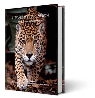 Libro tomo 4. Los Felinos de América: Cazadores Sorprendentes