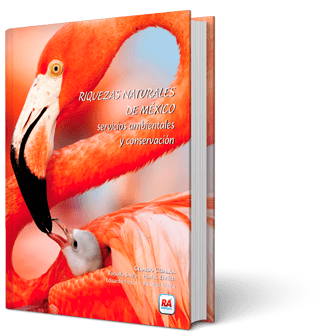 Libro tomo 10. Riqueza Natural de México: Servicios Ambientales y Conservación.