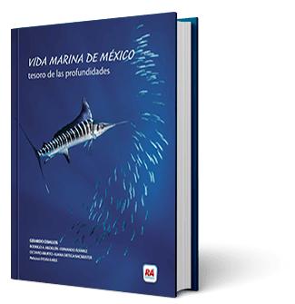“Vida Marina de México: Tesoro de las profundidades”