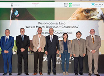 Comunicado Telmex